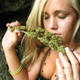 Illustration for article titled CBD hemp flower – Why should I use it?em/em